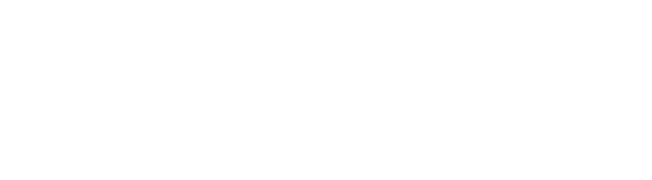 Vyin AI